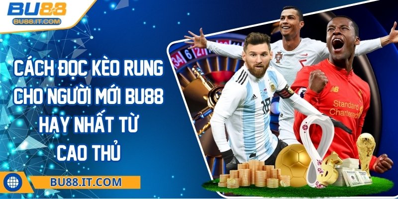 Cách đọc kèo rung cho người mới BU88 hay nhất từ cao thủ Cách đọc kèo rung cho người mới BU88